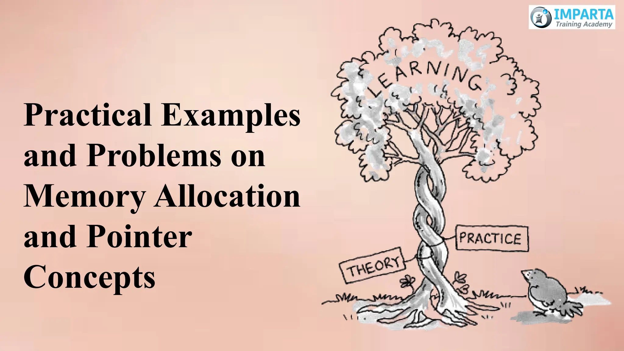Practical Examples
and Problems on
Memory Allocation
and Pointer
Concepts
 