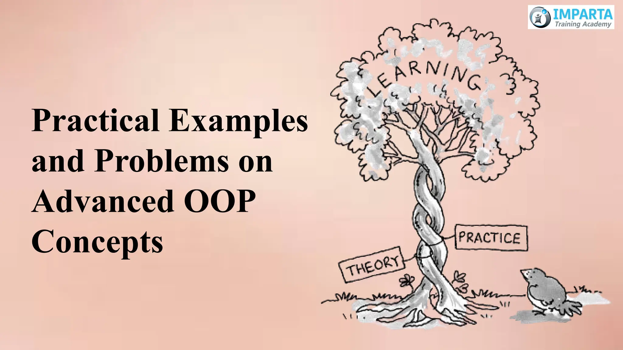 Practical Examples
and Problems on
Advanced OOP
Concepts
 