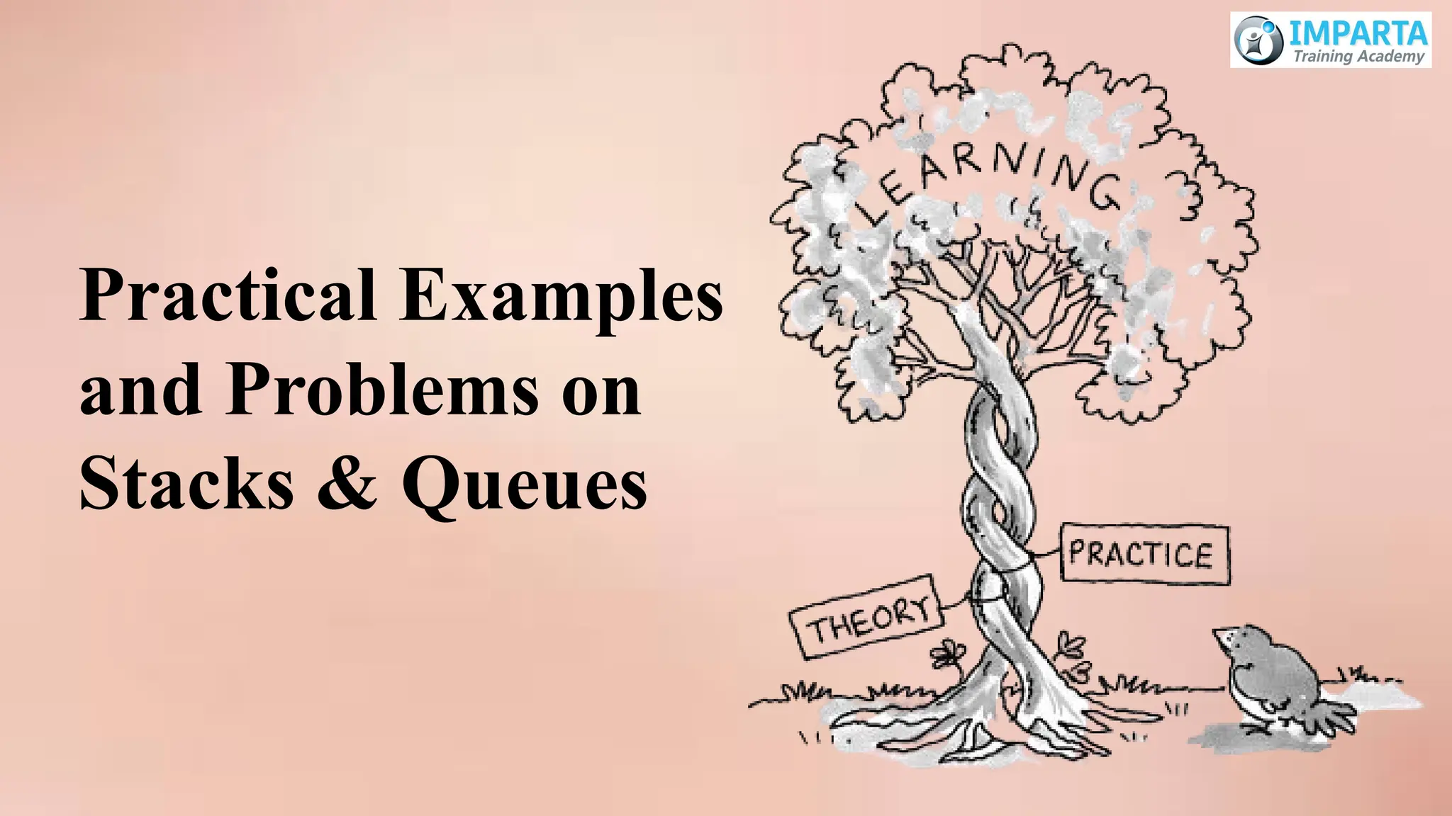 Practical Examples
and Problems on
Stacks & Queues
 