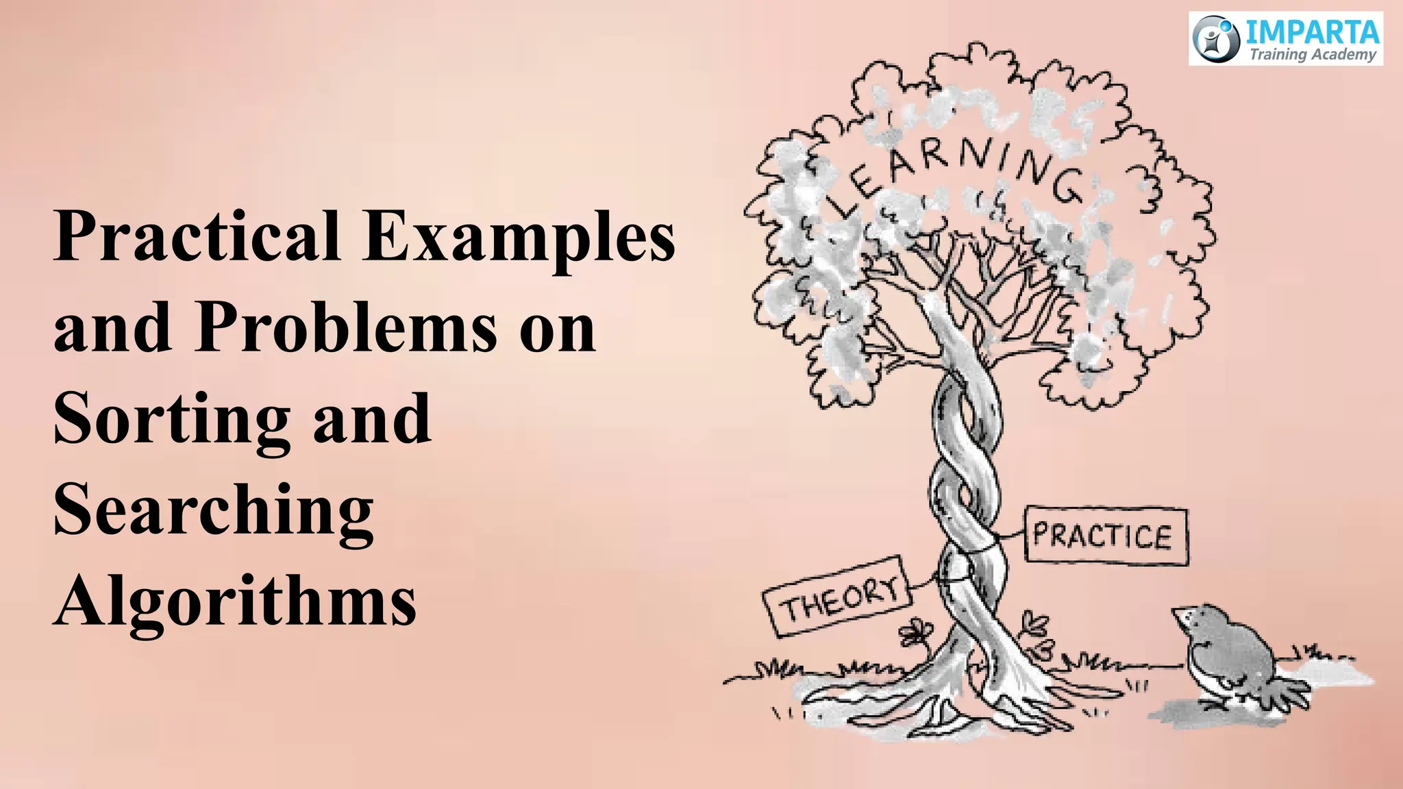 Practical Examples
and Problems on
Sorting and
Searching
Algorithms
 