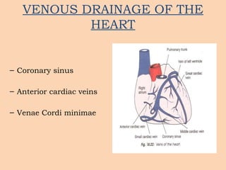 Comprehensive Overview of Coronary Circulation Anatomy and Physiology ...