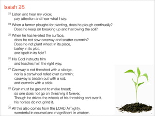 Isaiah 28
  23 Listen and hear my voice;
        pay attention and hear what I say.
  24 When a farmer ploughs for planting, does he plough continually?
        Does he keep on breaking up and harrowing the soil?
  25 When he has levelled the surface,
        does he not sow caraway and scatter cummin?
        Does he not plant wheat in its place,
        barley in its plot,
        and spelt in its ﬁeld?
  26 His God instructs him
        and teaches him the right way.
  27 Caraway is not threshed with a sledge,
        nor is a cartwheel rolled over cummin;
        caraway is beaten out with a rod,
        and cummin with a stick.
  28 Grain must be ground to make bread;
        so one does not go on threshing it forever.
        Though he drives the wheels of his threshing cart over it,
        his horses do not grind it.
  29 All this also comes from the LORD Almighty,
        wonderful in counsel and magniﬁcent in wisdom.
 