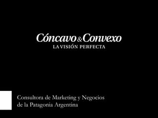 Consultora de Marketing y Negocios
de la Patagonia Argentina
 