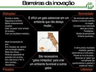 Barreiras da inovação É difícil um gato sobreviver em um ambiente que não deseja mudar... São necessários “ gatos intrépidos” para criar um ambiente favorável a outros gatos Dúvidas e medos... Segurança e conforto... Mente constantemente ocupada... Estar “ocupado” como símbolo de sucesso... Foco nos resultados imediatos... Distrações Normalidade Ser dominado pela rotina... Valores e costumes inseridos na criação... Considerar que criatividade deve ser a rotina... Paradigmas... Modelo de pensamento limitante (quadrado)... Fracasso Medo da exposição do erro... Erro, fracasso, etc, sempre com conotação negativa... Medo das críticas... Perda da capacidade de aprender com os erros... Erro visto como o “fim” e não o começo... Desistência... Liderança A rotina produz resultados imediatos, garante a sobrevivência a curto prazo... Pensar só no curto prazo... Gerenciar os “gatos” que normalmente são questionadores e quebram o modelo da “rotina”... 