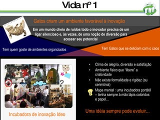 Vida nº 1 Clima de alegria, diversão e satisfação Ambiente físico que “libere” a criatividade Não existe formalidade e rigidez (ou cerimônia) Mapa mental : uma incubadora portátil – tenha sempre à mão lápis coloridos e papel...  Uma idéia sempre pode evoluir... Gatos criam um ambiente favorável à inovação Em um mundo cheio de ruídos todo o inovador precisa de um ligar silencioso e, às vezes, de uma noção de diversão para acessar seu potencial  Tem Gatos que se deliciam com o caos Tem quem goste de ambientes organizados Incubadora de inovação Ideo 