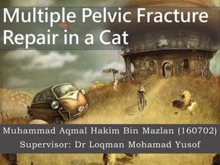 Muhammad Aqmal Hakim Bin Mazlan (160702)
Supervisor: Dr Loqman Mohamad Yusof
Multiple Pelvic Fracture
Repair in a Cat
 