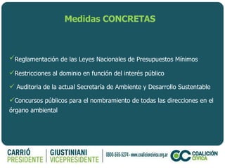 Medidas CONCRETAS Reglamentación de las Leyes Nacionales de Presupuestos Mínimos   Restricciones al dominio en función del interés público Auditoria de la actual Secretaría de Ambiente y Desarrollo Sustentable  Concursos públicos para el nombramiento de todas las direcciones en el órgano ambiental 