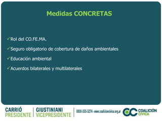 Medidas CONCRETAS Rol del CO.FE.MA. Seguro obligatorio de cobertura de daños ambientales Educación ambiental  Acuerdos bilaterales y multilaterales 