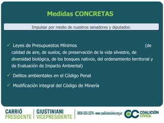Medidas CONCRETAS Leyes de Presupuestos Mínimos  ( de calidad de aire, de suelos, de preservación de la vida silvestre, de diversidad biológica, de los bosques nativos, del ordenamiento territorial y de Evaluación de Impacto Ambiental) Delitos ambientales en el Código Penal Modificación integral del Código de Minería Impulsar por medio de nuestros senadores y diputados: 
