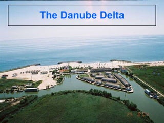 The Danube Delta 