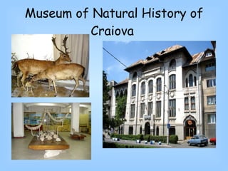 Museum of Natural History of Craiova   