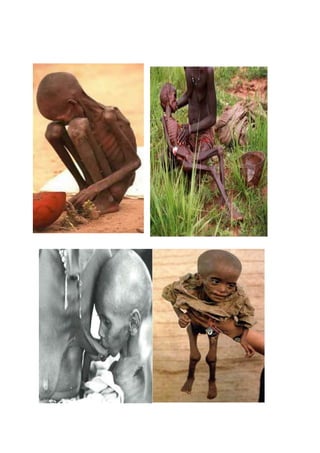 Informe Semanal: Aumenta hambruna en África ante indiferencia de potencias




  Los máximos responsables de tres agencias...