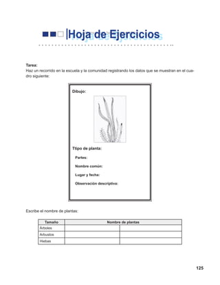 125
¡Veamos qué hemos aprendido!
Tarea:
Haz un recorrido en la escuela y la comunidad registrando los datos que se muestran en el cua-
dro siguiente:
Escribe el nombre de plantas:
Tamaño Nombre de plantas
Árboles
Arbustos
Hiebas
Dibujo:
Ttipo de planta:
Partes:
Nombre común:
Lugar y fecha:
Observación descriptiva:
 