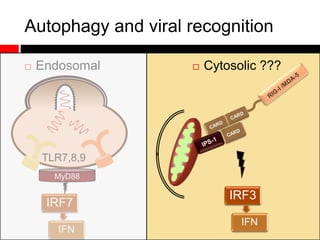 IRF3
IFN
Autophagy and viral recognition
 Endosomal  Cytosolic ???
IRF7
IFN
TLR7,8,9
MyD88
 