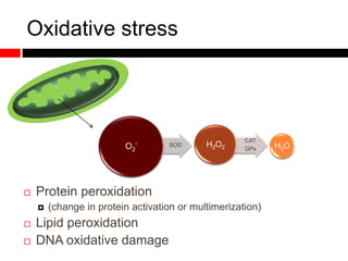 Oxidative stress
SODO2
- CAT
GPx
H2O2 H2O
 Protein peroxidation
 (change in protein activation or multimerization)
 Lipid peroxidation
 DNA oxidative damage
 