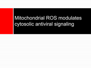 Mitochondrial ROS modulates
cytosolic antiviral signaling
 
