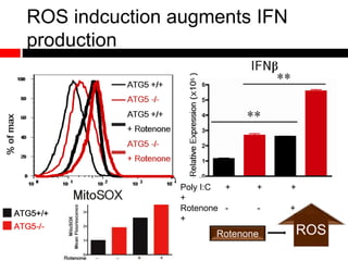ROS indcuction augments IFN
production
Rotenone ROS
Poly I:C + + +
+
Rotenone - - +
+
 
