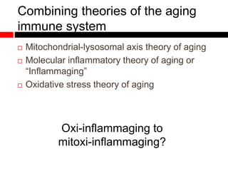 Combining theories of the aging
immune system
 Mitochondrial-lysosomal axis theory of aging
 Molecular inflammatory theory of aging or
“Inflammaging”
 Oxidative stress theory of aging
Oxi-inflammaging to
mitoxi-inflammaging?
 