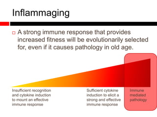Inflammaging
 A strong immune response that provides
increased fitness will be evolutionarily selected
for, even if it causes pathology in old age.
Insufficient recognition
and cytokine induction
to mount an effective
immune response
Sufficient cytokine
induction to elicit a
strong and effective
immune response
Immune
mediated
pathology
 