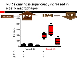 0
1 0 0
2 0 0
3 0 0
4 0 0
5 0 0
2 0
2 2
2 4
2 6
2 8
2 0
2 5
2 1 0
2 1 5
Young (21-30) Elderly (>65)
PIC + + + + + +
Rot - + - - + -
NAC - - + - - +
RLR signaling is significantly increased in
elderly macrophages
Rotenone NAC ROS
ROS
IL-6pg/ml
 