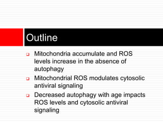  Mitochondria accumulate and ROS
levels increase in the absence of
autophagy
 Mitochondrial ROS modulates cytosolic
antiviral signaling
 Decreased autophagy with age impacts
ROS levels and cytosolic antiviral
signaling
Outline
 