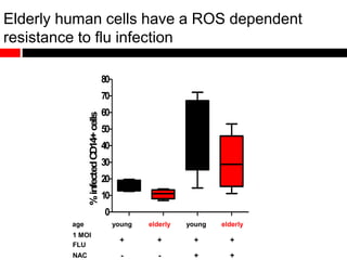Elderly human cells have a ROS dependent
resistance to flu infection
0
10
20
30
40
50
60
70
80
%infectedCD14+cells
age young elderly young elderly
1 MOI
FLU
+ + + +
NAC - - + +
 