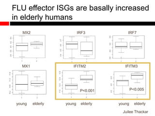 MX1
MX2 IRF7IRF3
IFITM3IFITM2
P<0.001 P<0.005
elderlyyoung elderlyyoung elderlyyoung
FLU effector ISGs are basally increased
in elderly humans
Juilee Thackar
 