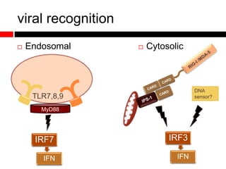 IRF3
IFN
viral recognition
 Endosomal  Cytosolic
DNA
sensor?
IRF7
IFN
TLR7,8,9
MyD88
 