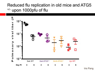 Reduced flu replication in old mice and ATG5
+/- upon 1000pfu of flu
Iris Pang
10 5
10 6
10 7
10 8
Pulmonaryviraltiter(PFU/ml)
6wk WT 6wk ATG5+/- 8mth ATG5+/- 2yr WT
Day PI 3 6 3 6 3 6 3 6
 