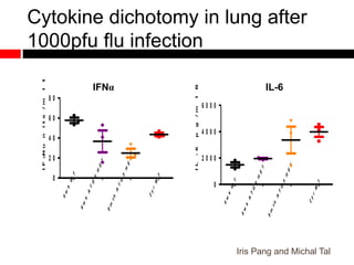 Cytokine dichotomy in lung after
1000pfu flu infection
6w
k
W
T
6w
k
ATG
5
HET
8m
th
ATG
5
HET
2yrW
T
0
2 0
4 0
6 0
8 0
IFNunits/mlBAL
6w
k
W
T
6w
k
ATG
5
HET
8m
th
ATG
5
HET
2yrW
T
0
2 0 0 0
4 0 0 0
6 0 0 0
IL-6pg/mlBAL
IFNα IL-6
Iris Pang and Michal Tal
 