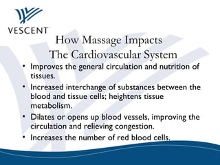 How Massage Impacts
The Cardiovascular System
• Improves the general circulation and nutrition of
tissues. 
• Increased interchange of substances between the
blood and tissue cells; heightens tissue
metabolism. 
• Dilates or opens up blood vessels, improving the
circulation and relieving congestion.
• Increases the number of red blood cells.
 