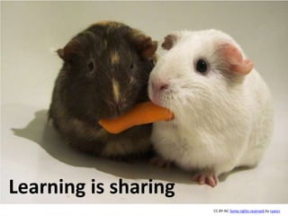 Learning is sharing
CC BY-NC Some rights reserved by ryancr

 