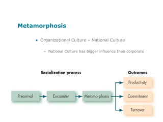Achievement (11)Self-Actualizing (12)Humanistic (1)Affiliative (2)Constructive Cultures