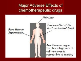 MMaajjoorr AAddvveerrssee EEffffeeccttss ooff 
cchheemmootthheerraappeeuuttiicc ddrruuggss 
 
