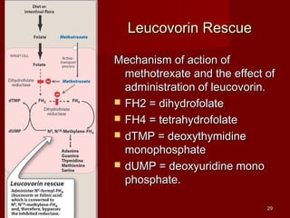 LLeeuuccoovvoorriinn RReessccuuee 
MMeecchhaanniissmm ooff aaccttiioonn ooff 
mmeetthhoottrreexxaattee aanndd tthhee eeffffeecctt ooff 
aaddmmiinniissttrraattiioonn ooff lleeuuccoovvoorriinn.. 
 FFHH22 == ddiihhyyddrrooffoollaattee 
 FFHH44 == tteettrraahhyyddrrooffoollaattee 
 ddTTMMPP == ddeeooxxyytthhyymmiiddiinnee 
mmoonnoopphhoosspphhaattee 
 ddUUMMPP == ddeeooxxyyuurriiddiinnee mmoonnoo 
pphhoosspphhaattee.. 
2299 
 