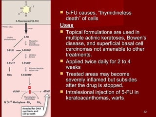  55--FFUU ccaauusseess,, ““tthhyymmiiddiinneelleessss 
ddeeaatthh”” ooff cceellllss 
UUsseess 
 TTooppiiccaall ffoorrmmuullaattiioonnss aarree uusseedd iinn 
mmuullttiippllee aaccttiinniicc kkeerraattoosseess,, BBoowweenn''ss 
ddiisseeaassee,, aanndd ssuuppeerrffiicciiaall bbaassaall cceellll 
ccaarrcciinnoommaass nnoott aammeennaabbllee ttoo ootthheerr 
ttrreeaattmmeennttss.. 
 AApppplliieedd ttwwiiccee ddaaiillyy ffoorr 22 ttoo 44 
wweeeekkss 
 TTrreeaatteedd aarreeaass mmaayy bbeeccoommee 
sseevveerreellyy iinnffllaammeedd bbuutt ssuubbssiiddeess 
aafftteerr tthhee ddrruugg iiss ssttooppppeedd.. 
 IInnttrraalleessiioonnaall iinnjjeeccttiioonn ooff 55--FFUU iinn 
kkeerraattooaaccaanntthhoommaass,, wwaarrttss 
3322 
 