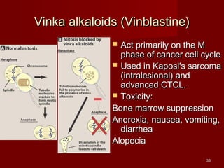 3333 
VViinnkkaa aallkkaallooiiddss ((VViinnbbllaassttiinnee)) 
 AAcctt pprriimmaarriillyy oonn tthhee MM 
pphhaassee ooff ccaanncceerr cceellll ccyyccllee 
 UUsseedd iinn KKaappoossii''ss ssaarrccoommaa 
((iinnttrraalleessiioonnaall)) aanndd 
aaddvvaanncceedd CCTTCCLL.. 
 TTooxxiicciittyy:: 
BBoonnee mmaarrrrooww ssuupppprreessssiioonn 
AAnnoorreexxiiaa,, nnaauusseeaa,, vvoommiittiinngg,, 
ddiiaarrrrhheeaa 
AAllooppeecciiaa 
 