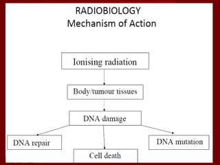 Cc1 cancer derma