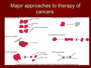 Major approaches ttoo tthheerraappyy ooff 
ccaanncceerrss 
 