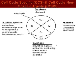Cell Cycle Specific (CCS) && CCeellll CCyyccllee NNoonn-- 
SSppeecciiffiicc AAggeennttss ((CCCCNNSS)) 
 