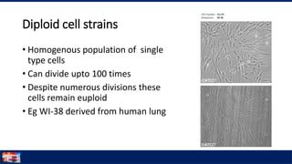 Cell culture | PPTX