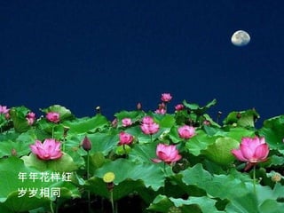 年年花样红  岁岁相同  