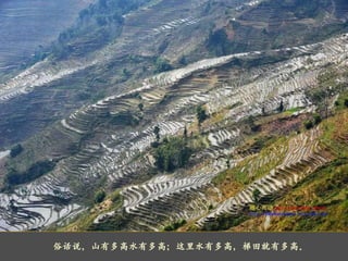      俗话说，山有多高水有多高；这里水有多高，梯田就有多高。 