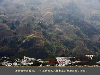     老虎嘴四周的山。了不起的哈尼人把整座山都雕刻成了梯田。 