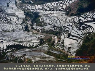 令人不可思议，整座山上有极科学、有效的排灌系统和管理，保证每家每块梯田都能得到灌溉和排涝。照片上，可以清晰地看到梯田的主干渠。 