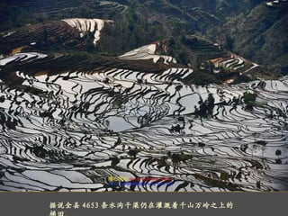 据说全县 4653 条水沟干渠仍在灌溉着千山万岭之上的梯田。 