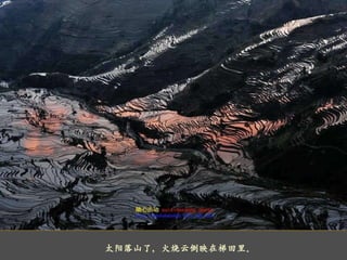      太阳落山了，火烧云倒映在梯田里。 