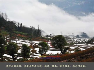 哀牢山的梯田，主要分布在元阳、红河、绿春、金平四县。以元阳为最。 