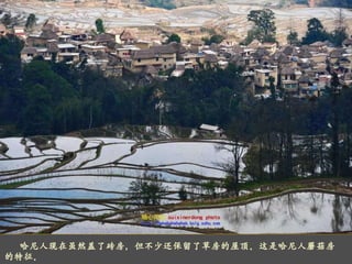     哈尼人现在虽然盖了砖房，但不少还保留了草房的屋顶。这是哈尼人蘑菇房的特征。 