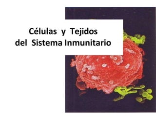 Células y Tejidos
del Sistema Inmunitario
 
